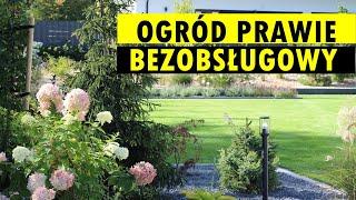 Ogród 3 miesiące po założeniu.  Nowoczesny, prawie bezobsługowy, szczególnie dla Gospodarzy