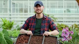 What's the best compost mix for my plants? | Busting Houseplant Myths with Tony Le-Britton | The RHS