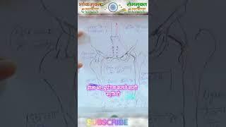 ईश्वरीय चिकित्सा- 4| Karauli Shankar Mahadev Spiritual Awakening, & Health, Meditation | 1108