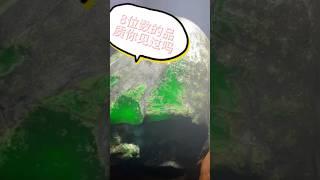 老板你是认真的吗这个级别的石头🪨你给的价格……🫀 #jade #翡翠 #緬甸翡翠 #crystals #翡翠直播 #流量