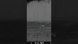 Would you have taken this long shot without knowing the range ? #coyotehunt #coyotehunting #thermal