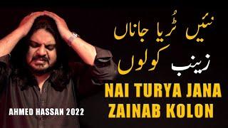 Nai Turya Jana | New Noha 2022 | Ahmed Hassan Khan | Punjabi Nohay | Bibi Zainab 2022 | Suristaan