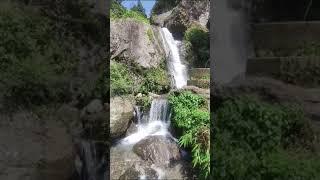 Paglajhora Waterfalls Video #darjeeling_tour #paglajhora #darjeelingsightseeing #waterfalls #