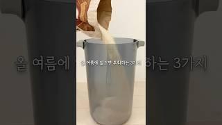 올 여름에 없으면 후회하는 3가지