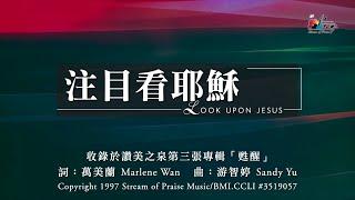 【注目看耶穌 Look Upon Jesus】官方歌詞版MV (Official Lyrics MV) - 讚美之泉敬拜讚美 (3)