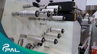 Zipper Profile Extrusion Machine｜Co-extrusion｜ Plas Alliance Ltd.