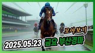 2025년 5월 23일 금요 부산경마 전체경주 모아보기