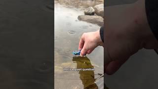 Are they water proof  #rccar #rc #rccars #minirc #rchobby