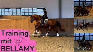 Training mit Bellamy  | Marina und die Ponys