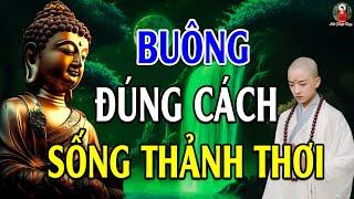 Buông Đúng Cách Sống Đời Thảnh Thơi - Phật Dạy Buông Xả Chứ Không Buông Bỏ - Lời Phật Dạy