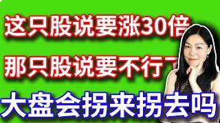 美股：标普官方看走眼了，半导体可能被它拖累。一只被CEO目标设定在30倍的股，你知道它。大盘会不会拐来拐去？【2024-11-15】