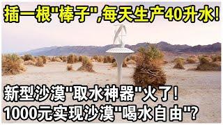 插一根“棒子”，每天就能生產40升水？新型沙漠“取水神器”視頻火遍全網！網友感嘆：1000元實現沙漠喝水自由？