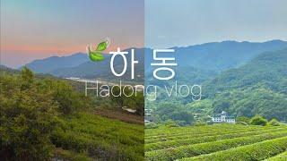 하동 뚜벅이 여행 vlog ep.1 | 도심다원, 밤톨, 쌍계사, 하동숙소, 하동맛집