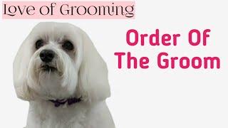 Step by step Dog Grooming - Order of the  Groom on a Well Maintained Dog