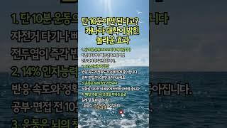 10분이면 충분하다고요? 캐나다 대학이 밝혔습니다” #치매예방 #뇌건강