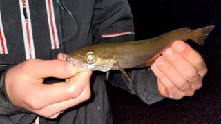 Night Time Spring Fishing