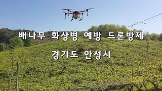 배나무 화상병 예방 친환경 드론방제