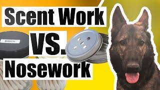 AKC Scent Work VS. NACSW K9 Nose Work (Dog Sports)