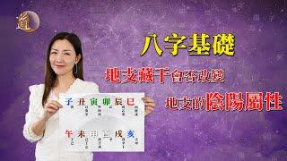 八字基礎〡地支藏干會否改變地支的陰陽屬性？教你如何真正分地支陰陽