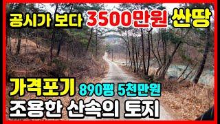 "가격포기" 공시가 보다 3500만원 싼땅! 조용한 산속의 자연인 촌땅 시골땅 매매 포항부동산 포항토지매매 포항촌땅 포항시골땅 매매  #착한부동산