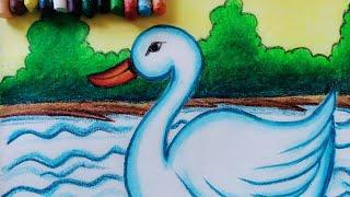 How To Draw Swan Step by Step |Beautiful swan scenery drawing for kids #oilpastel #swandrawing