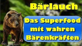 Bärlauch – das Superfood mit wahren Bärenkräften