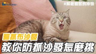 【沙發，你選對了嗎?!】沙發小百科告訴你｜貓抓布挑選