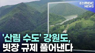 [강원특별법4]'산림 수도' 강원도, 빗장 규제 풀어낸다