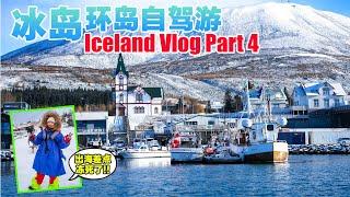 冰岛Vlog Part 4 | 出海观鲸差点冻死了!! | 冰岛环岛自驾游 #iceland #visiticeland