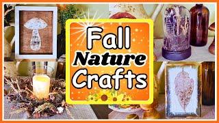 BEAUTIFUL DIY Nature Crafts For Fall Home Decor