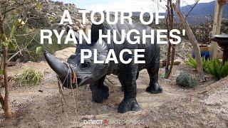 A Truly Zen Tour of Ryan Hughes' Place