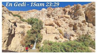 Let's travel to EN GEDI from DEAD SEA| OASIS IN THE DESERT | David place of Refuge from King Saul