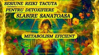 SESIUNE REIKI TACUTA PENTRU DETOXIFIERE, METABOLISM EFICIENT - SLABIRE SANATOASA