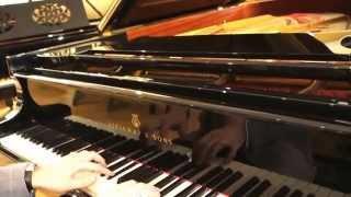 Theme & Variations Piano Services - Steinway & Sons Model B-211