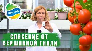 Спасение от ВЕРШИННОЙ ГНИЛИ. Марина Рыкалина рекомендует!