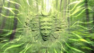 Shpongle - I Am You HD