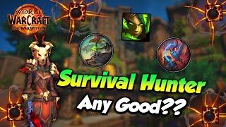 Survival Hunter Worth Playing??? - The War Within