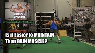 Is it EASIER TO MAINTAIN MUSCLE than GAIN it?