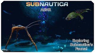 ASMR - Exploring Subnautica's Amazing Fauna! - Soft Whispering, Music - Subnautica