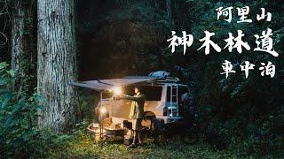 阿里山神木林道露營車中泊 I 燉蕃茄牛肉懶人料理 I Jimny Vitara 4x4 suzuki