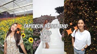 Cameron Highland Trip - Stellar Golden Hill & Flora Park (pt. 1)