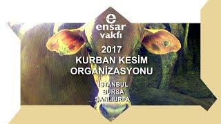 Ensar Vakfı 2017 Yılı Kurban Kesim Organizasyonu (İstanbul, Bursa, Şanlıurfa)