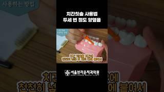 치간칫솔 사용법, 사이즈 선택 꿀팁+주의사항