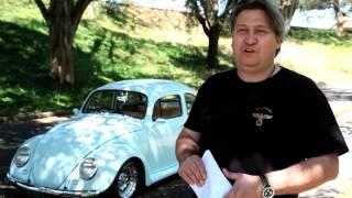 CUSTOM VW  - ZELKO'S  ARSCH