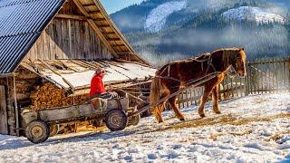 A New Story of a Woman Who Has Lived Alone in the Mountains for Years