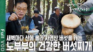 부부가 새벽마다 산에서 ‍🟫버섯캐기 29년! 김영철 엄지 척 [동네 한바퀴 - 충북 청주] | KBS 20201114 방송