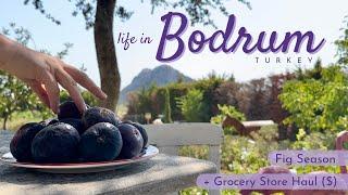 Daily Life in Bodrum, Turkey | + Grocery Store Haul (with prices!) & Fresh Figs | Turkish Village