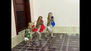 Smarty 4 Siblings Walk To Take Clothes Each To Mom To Dressing Up For Them Very Lovely ,