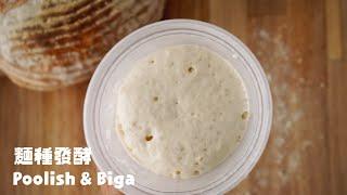 波蘭種/老麵種做法解析 How To Make Poolish & Biga !