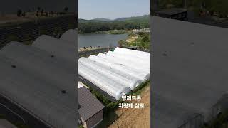 방제드론으로 하우스 차광제 살포! 5도 정도 떨어집니다^^ #agriculture #drone #dji #fpvdrone #t20 #드론  #드론방제